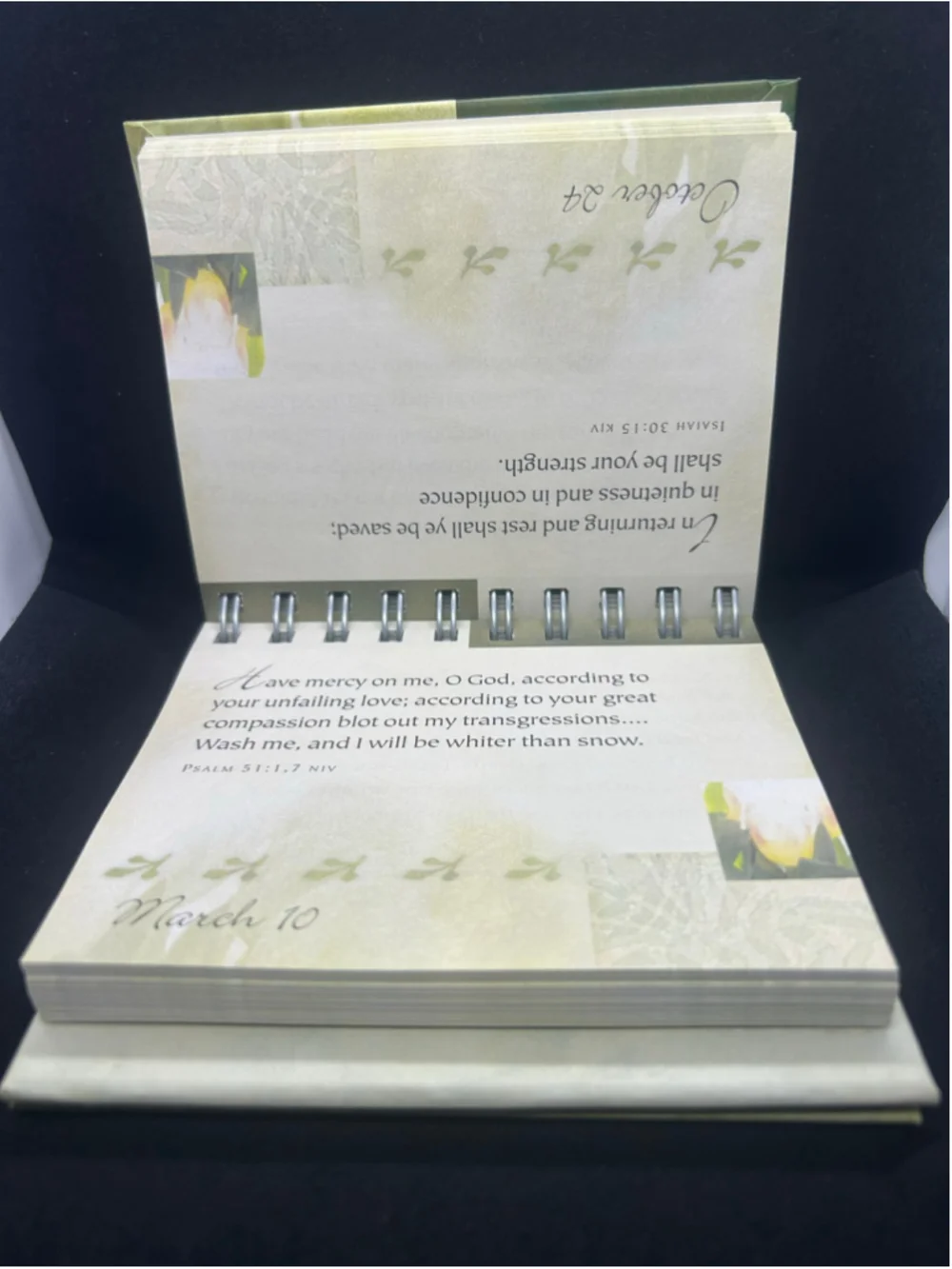 DaySpring Promises & Blessings Scripture Daily Calendar One Size Green White